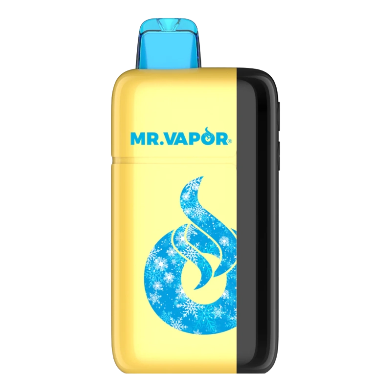 Mr. Vapor Arctic Disposable Vape device in frosty packaging, showcasing its sleek design.