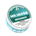 Mr. Vapor Nicotine Pouches - Wintergreen - Vape Demand