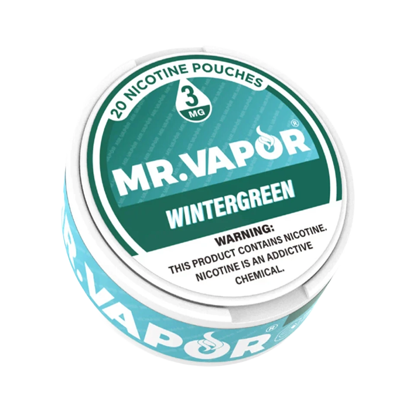 Mr. Vapor Nicotine Pouches - Wintergreen - Vape Demand