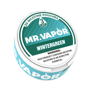 Mr. Vapor Nicotine Pouches - Wintergreen - Vape Demand