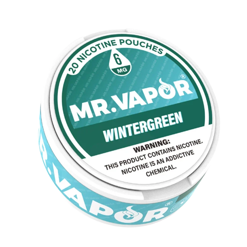 Mr. Vapor Nicotine Pouches - Wintergreen - Vape Demand