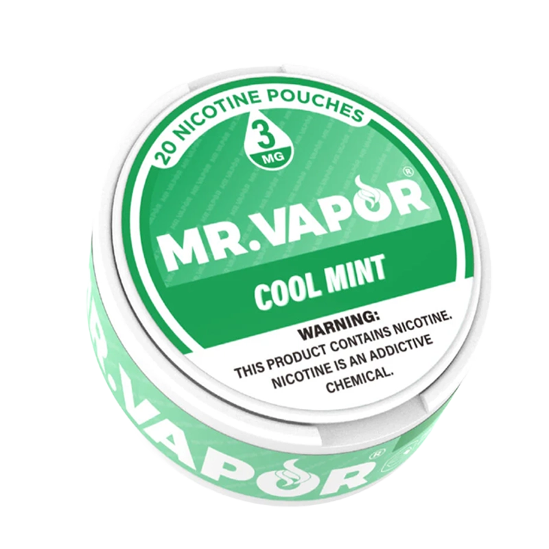 Mr. Vapor Nicotine Pouches - Cool Mint - Vape Demand