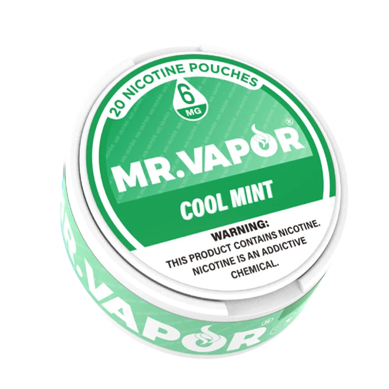 Mr. Vapor Nicotine Pouches - Cool Mint - Vape Demand