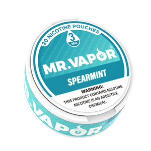Mr. Vapor Nicotine Pouches - Spearmint - Vape Demand